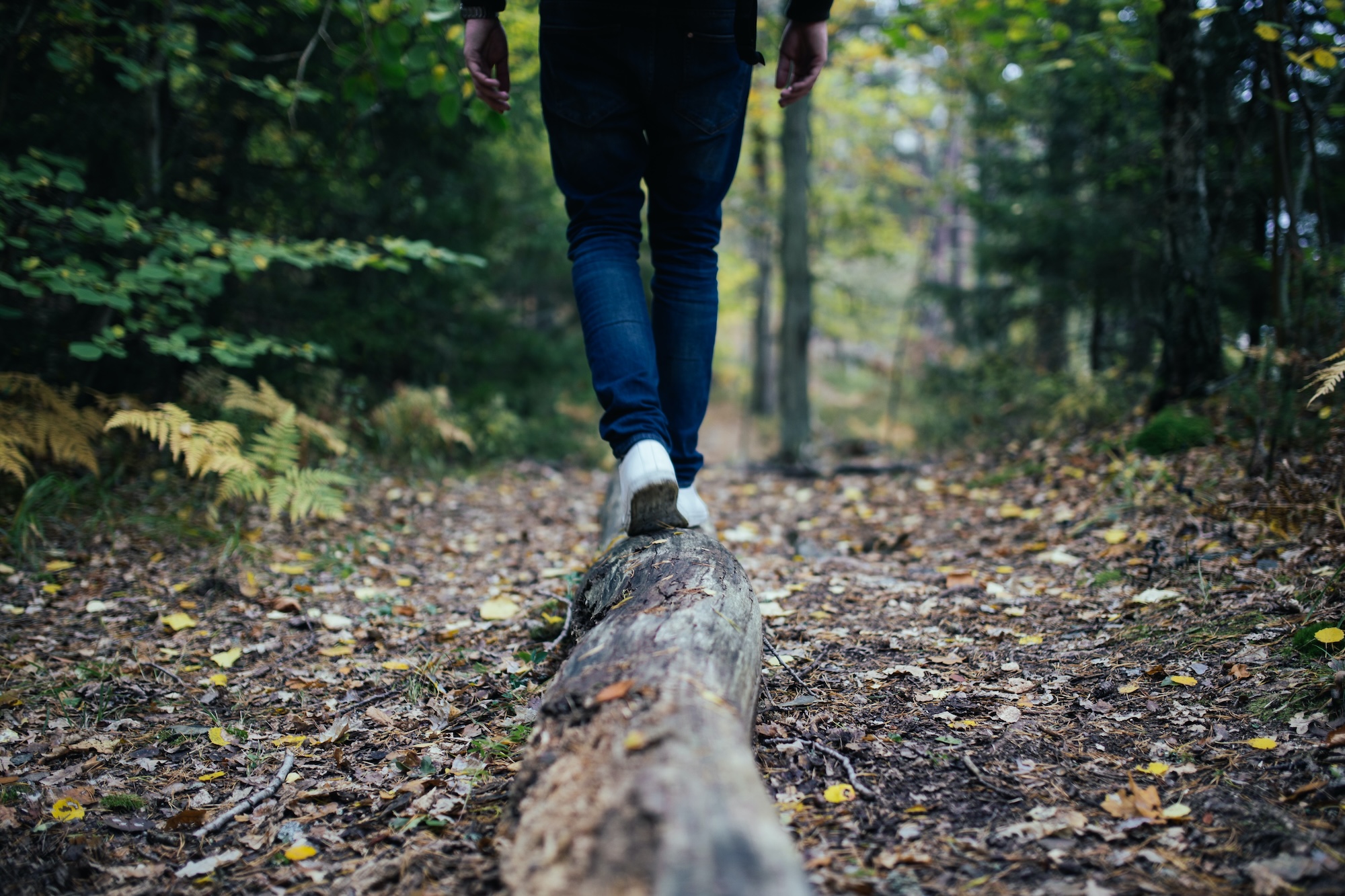 Person walking across a tree branch on the floor of the woods